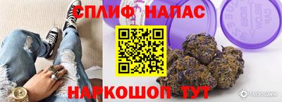 стафф Волгодонск