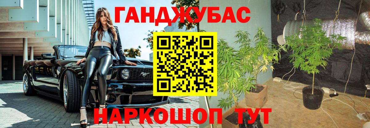 Конопля гибрид Узловая
